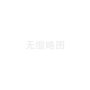 网络科技公司的互联网服务解析